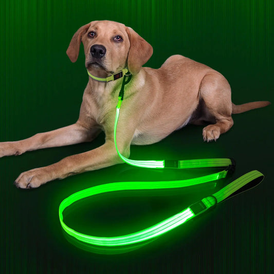Dlitk Light Up Dog Leash LED Dog Leash Rechargeable Nylon Reflective Leashes with Padded Handle for Night Walking Safety Glow Dog Lights for Large Medium Small Dogs(Green(4 Ft+2 Ft))